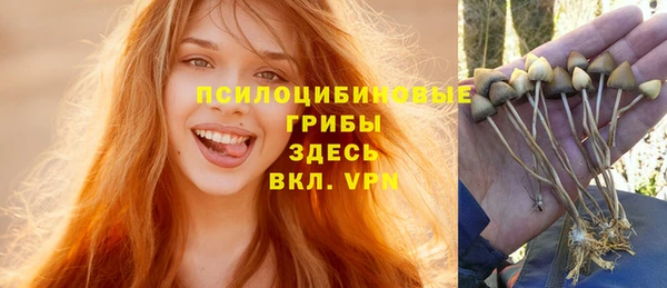 прущие крисы Бабаево